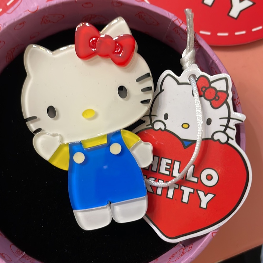 New in Box Erst Wilder Hello Kitty Brooch Pin